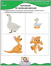 Hayvanlar ve Yavruları Eğitici Kartları